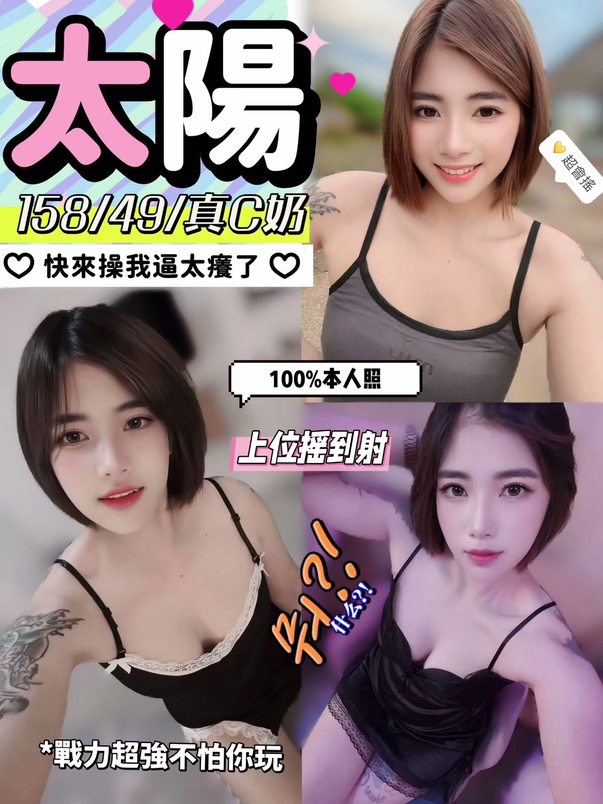 南投定點茶-太陽