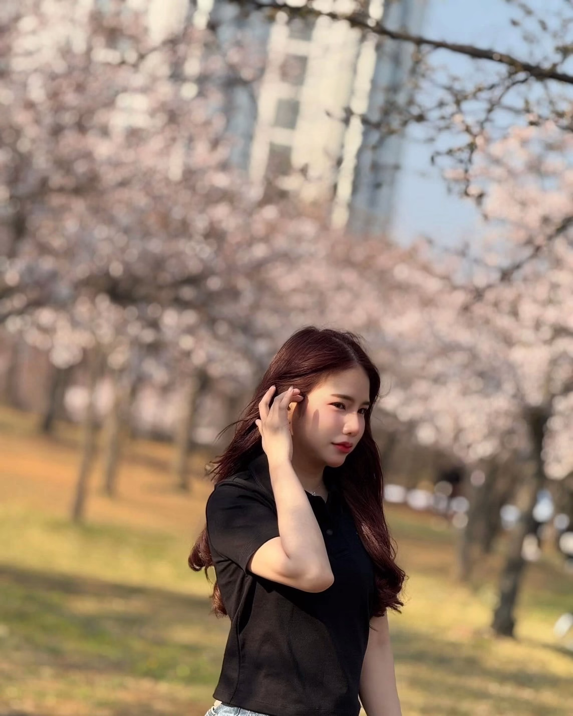 台北定點茶-凱蒂貓