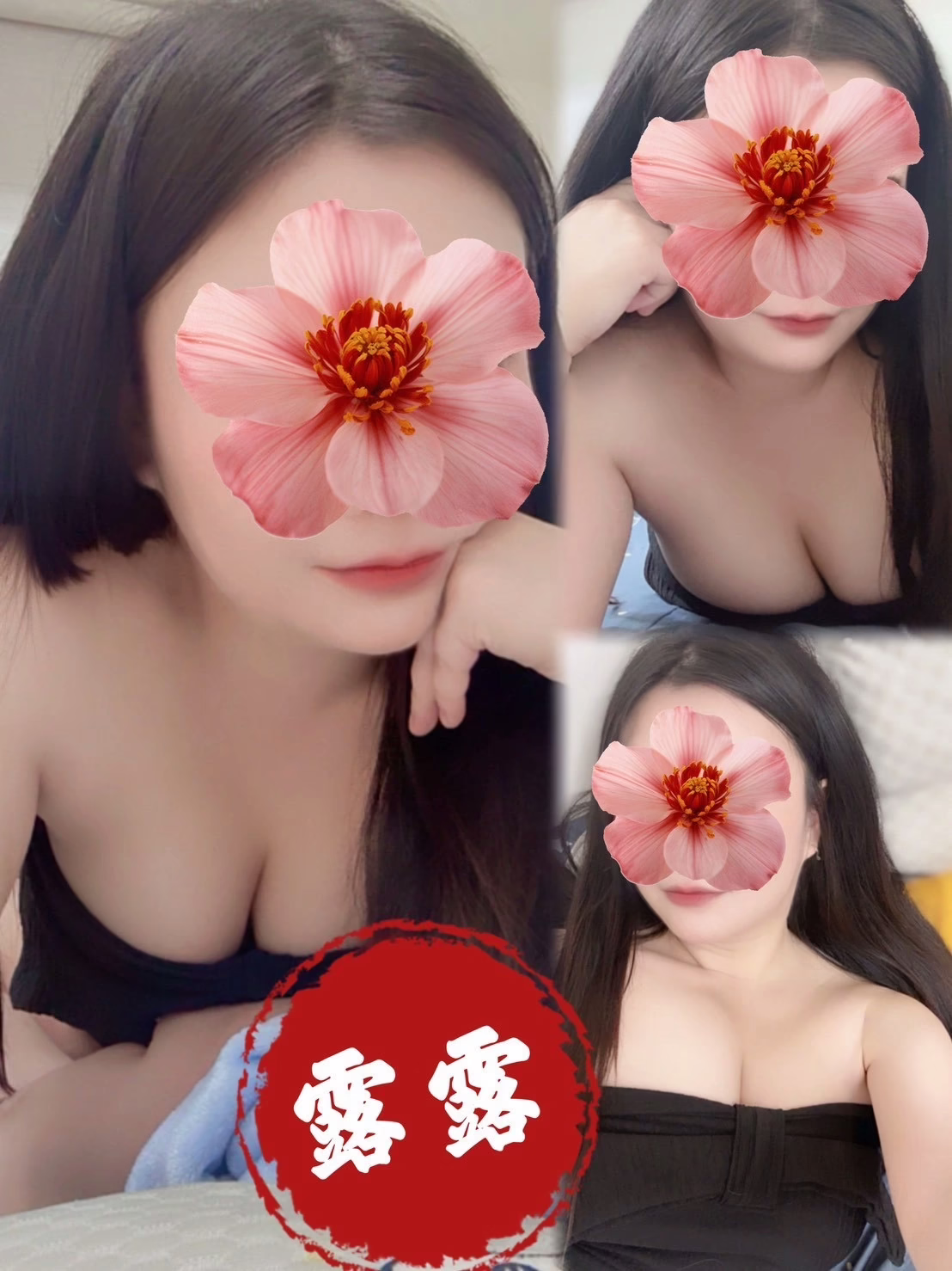 高雄定點茶-露露